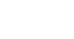 Logo Anthea Informatique